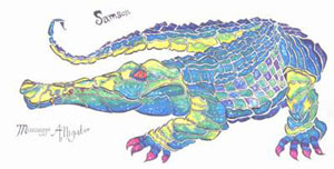 Image of samson-m-alligator.jpg
